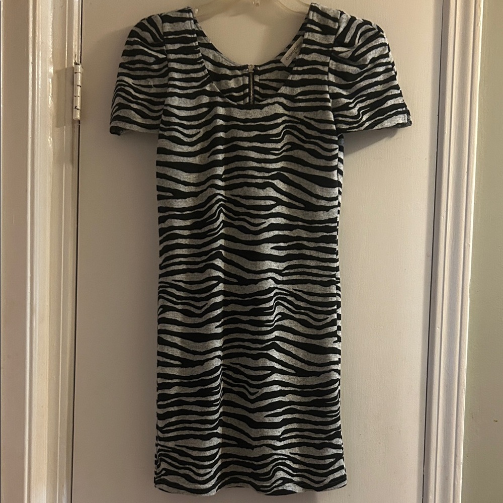 Elegant Zebra Pattern Mini Dress